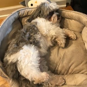 Meet your Posher, Liz